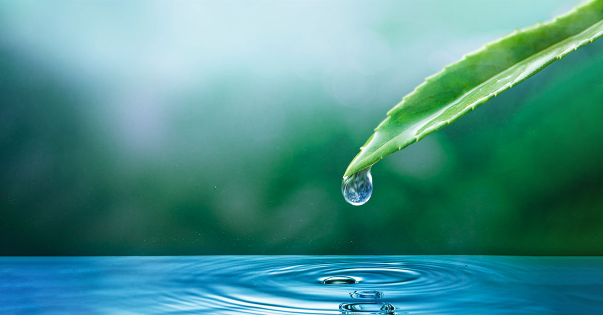 Do Atmospheric Water Generators Really Work? | Aeronero